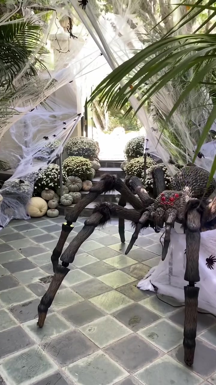 Large spider installation across an exterior entry